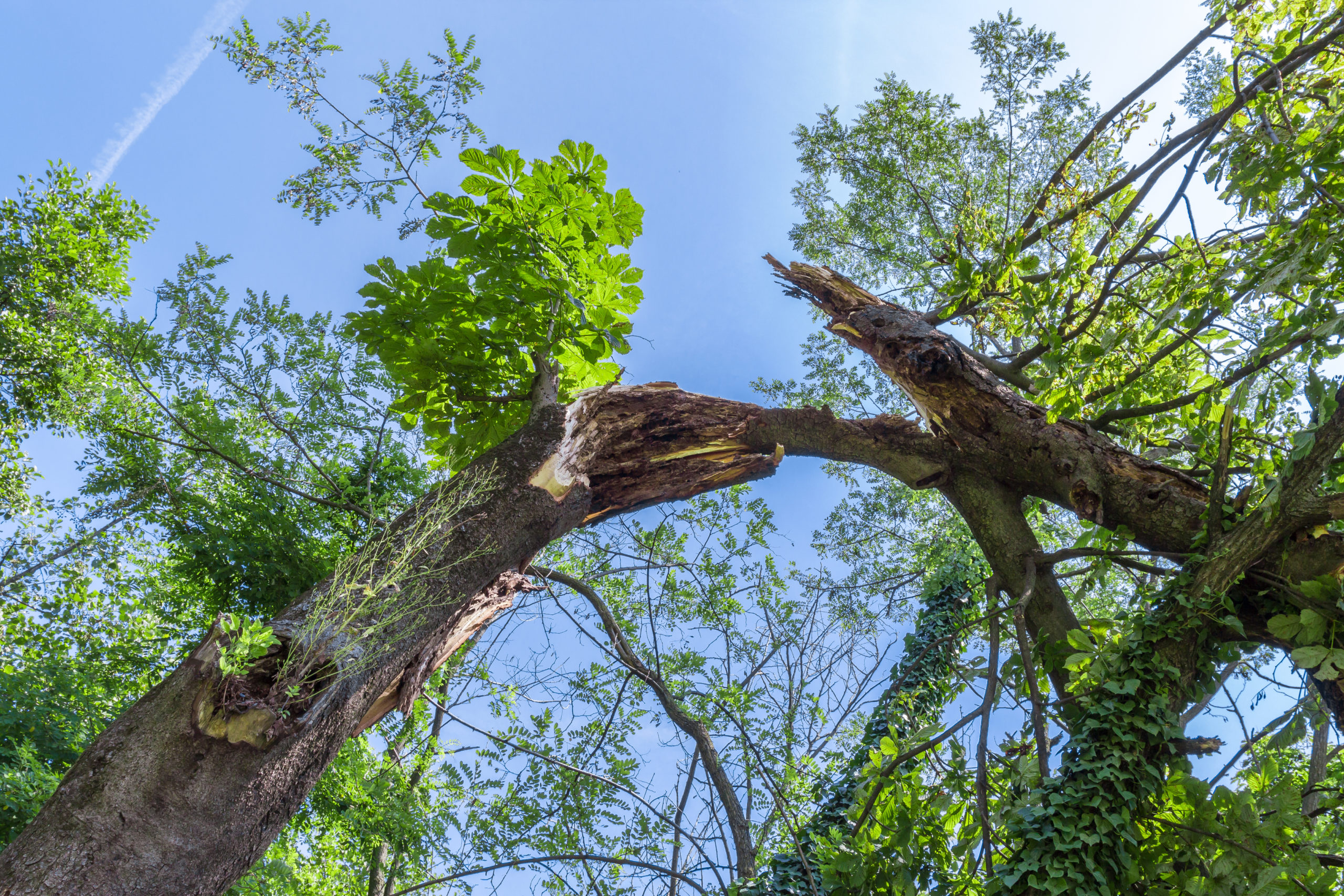 Preparing for Storm Season: Storm & Cyclone Damage & Insurance Claims 